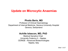 Update on Microcytic Anaemias