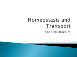 Homeostasis and Transport - Somerset Area School District