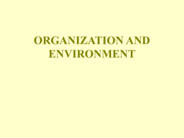 ORGANIZATION AND ENVIRONMENT