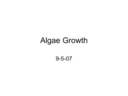 Algae Growth - Wayne State University