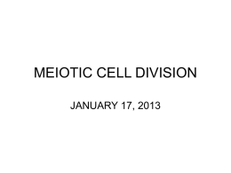 MEIOTIC CELL DIVISION - CAPE Biology Unit 1 Haughton XLCR …