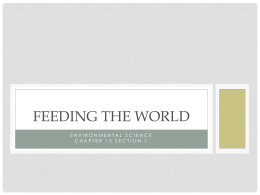 Feeding The World - Walsingham Academy