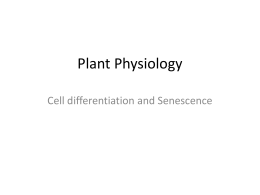 Plant Physiology - ASAB-NUST | Lectures for ASAB , UG