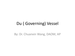 Du ( Governing) Vessel - Acupuncture and Massage College