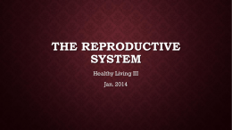 The Reproductive System - West Ada School District