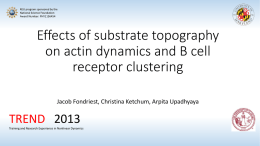 Effects of substrate topography on actin dynamics and