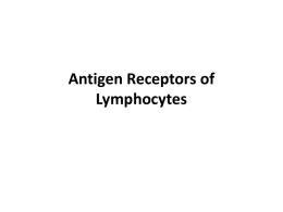 Receptori za antigen na limfocitima
