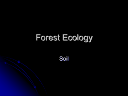 Forest Ecology - Scio School District Page