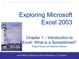 Exploring Microsoft Excel 2003