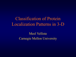 Classification of Protein Localization Patterns in 3-D