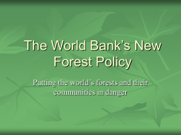 The World Bank’s New Forest Policy