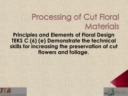 Processign Cut Floral Materials