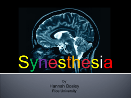 Synesthesia - Rice University -