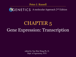 CHAPTER 5 Gene Expression: Transcription