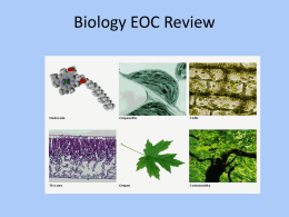 Biology EOC Review - Ms. Whitt's Science Classes