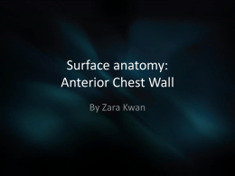 Surface anatomy: Anterior Chest Wall