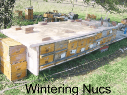 Wintering Nucs