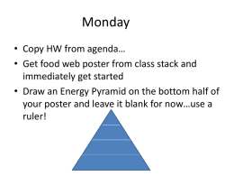 Food Web & Energy Pyramid Poster