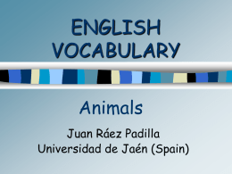 ENGLISH VOCABULARY - Humanising Language Teaching (HLT