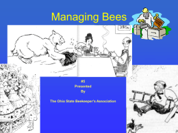 Managing Bees