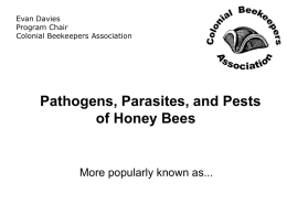 Pathogens, Parasites, and Pests of Honey Bees