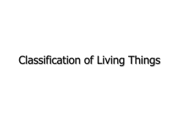 Classification of Living Things - Mrs. Grigar