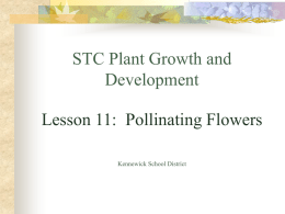 STC Plant Growth and Development Kennewick School District