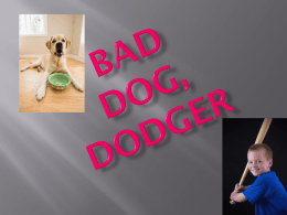 BAD DOG, DODGER - Tamaqua Area School District