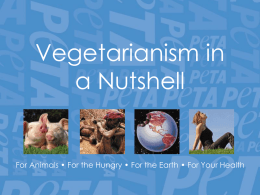 Vegetarianism in a Nutshell