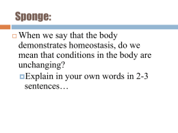 Homeostasis!! - Mr.Ward's Anatomy - Physiology
