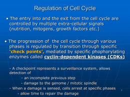 Cell Cycle Mitosis and Meiosis