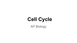 Cell Cycle - Mr. Schukow's Science Site