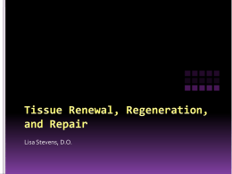 Tissue Renewal, Regeneration, and Repair