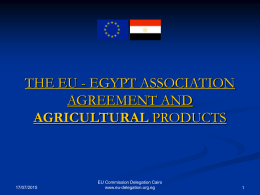 EU-EGYPT ASSOCIATION AGREEMENT