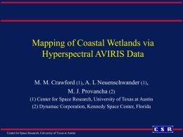 Mapping of Coastal Wetlands via Hyperspectral AVIRIS Data