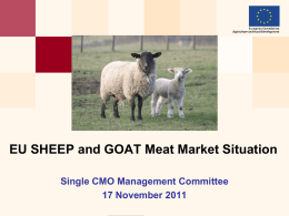 EU beef and veal market A brief overview and some