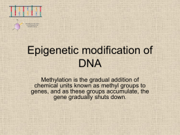 Epigenetic modification of DNA