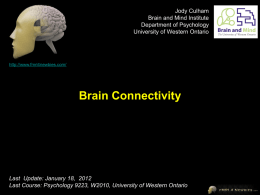 fMRI4Newbies_L11_Psych9223_W2010_Connectivity