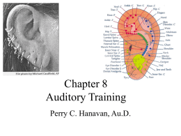 Chapter 7 Auditory Training