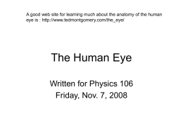 The Human Eye - indstate.edu