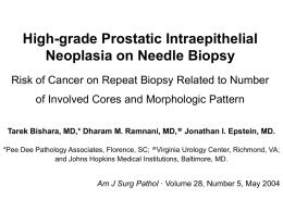 High-grade Prostatic Intraepithelial Neoplasia on Needle
