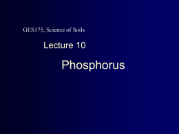 PHOSPHORUS - Soil and Environmental Biogeochemistry