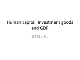 Human capital, Investment goods and GDP