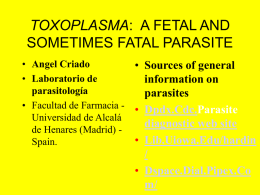 TOXOPLASMA: A FETAL + FATAL PARASITE