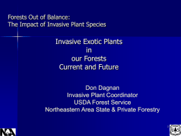 Forests Out of Balance: The Impact of Invasive Plant Species