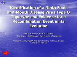 Identification of a ninth foot-and