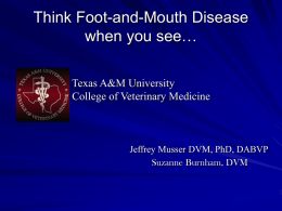 Think Foot-and-Mouth Disease when you see