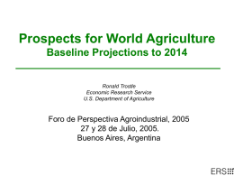USDA 2001 Agricultural Baseline International Projection