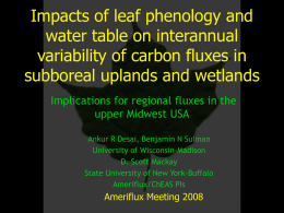 Impacts of leaf phenology and water table on interannual