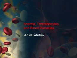 Anemia, Thrombocytes, and Blood Parasites